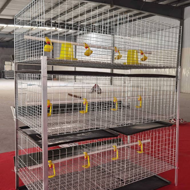 A Type Layer Chicken Cage System for Poultry Farm – Galvanized Step Type Layer Battery Cage