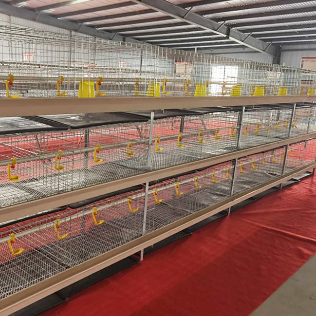 H Type Galvanized Layer Chicken Cage System for Poultry Farm