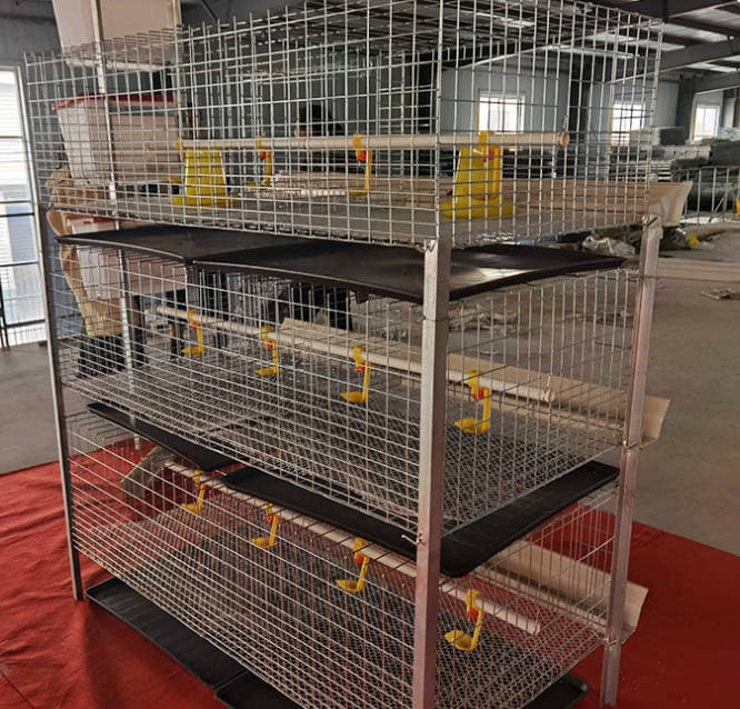 A Type Layer Chicken Cage System for Poultry Farm – Galvanized Step Type Layer Battery Cage
