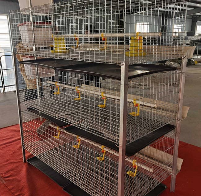 H Type Galvanized Layer Chicken Cage System for Poultry Farm