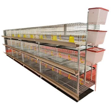 H Type Galvanized Layer Chicken Cage System for Poultry Farm