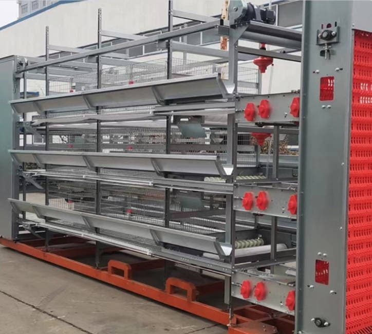 Large stacked egg chicken equipment, breeding cage, fully automated chicken cage installation, hot-dip galvanized broiler cage, stacked type Large stacked egg chicken equipment, breeding cage, fully automated chicken cage installation, hot-dip galvanized broiler cage, stacked type