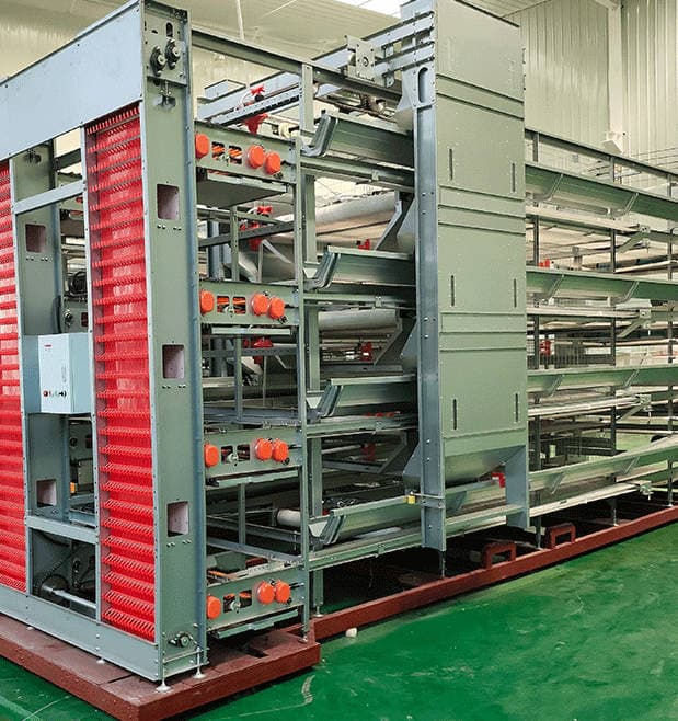 Chicken Farm Automatic Egg Picking Machine Breeding Cage Chicken Raising Equipment Vertical Automation Three layer Egg Chicken Cage Multi layer Chicken Cage Chicken Farm Automatic Egg Picking Machine Breeding Cage Chicken Raising Equipment Vertical Automation Three layer Egg Chicken Cage Multi layer Chicken Cage