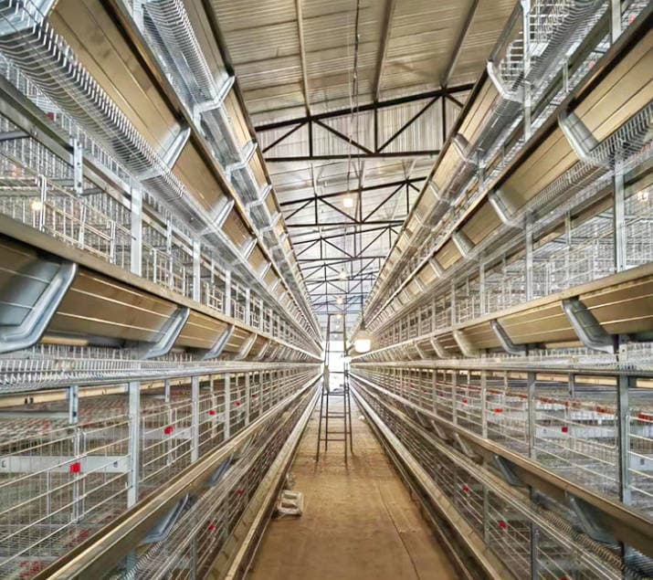 Small stacked egg chicken cage, three-dimensional stepped breeding farm, three story and four story breeding cage, recommended for three-dimensional breeding