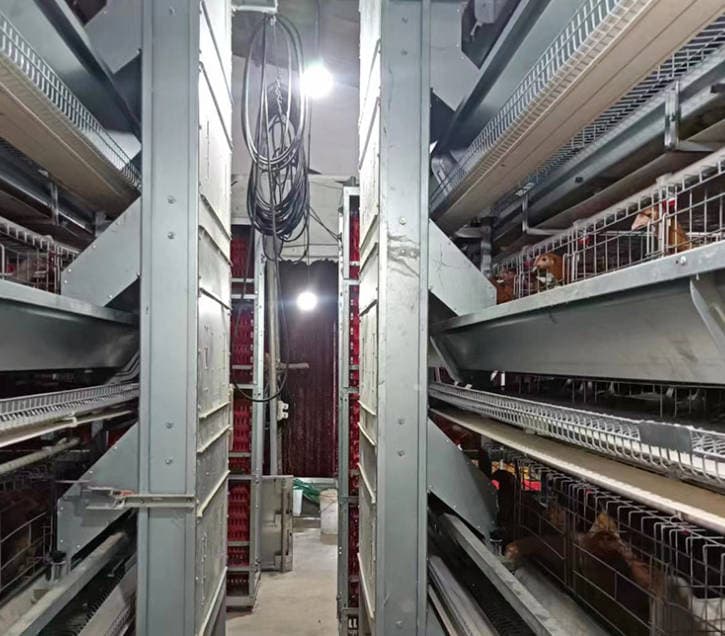 Large stacked egg chicken equipment, breeding cage, fully automated chicken cage installation, hot-dip galvanized broiler cage, stacked type Large stacked egg chicken equipment, breeding cage, fully automated chicken cage installation, hot-dip galvanized broiler cage, stacked type