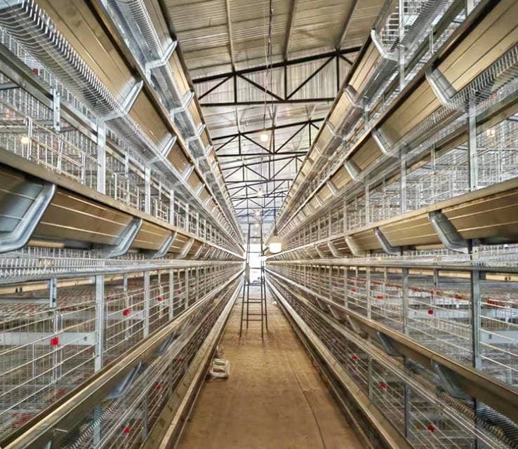 Large stacked egg chicken equipment, breeding cage, fully automated chicken cage installation, hot-dip galvanized broiler cage, stacked type Large stacked egg chicken equipment, breeding cage, fully automated chicken cage installation, hot-dip galvanized broiler cage, stacked type