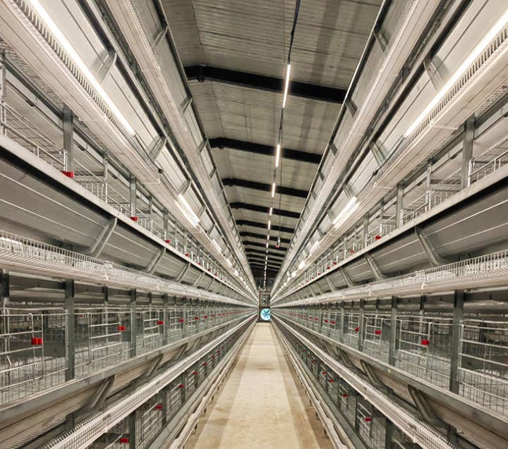 Small stacked egg chicken cage, three-dimensional stepped breeding farm, three story and four story breeding cage, recommended for three-dimensional breeding Small stacked egg chicken cage, three-dimensional stepped breeding farm, three story and four story breeding cage, recommended for three-dimensional breeding