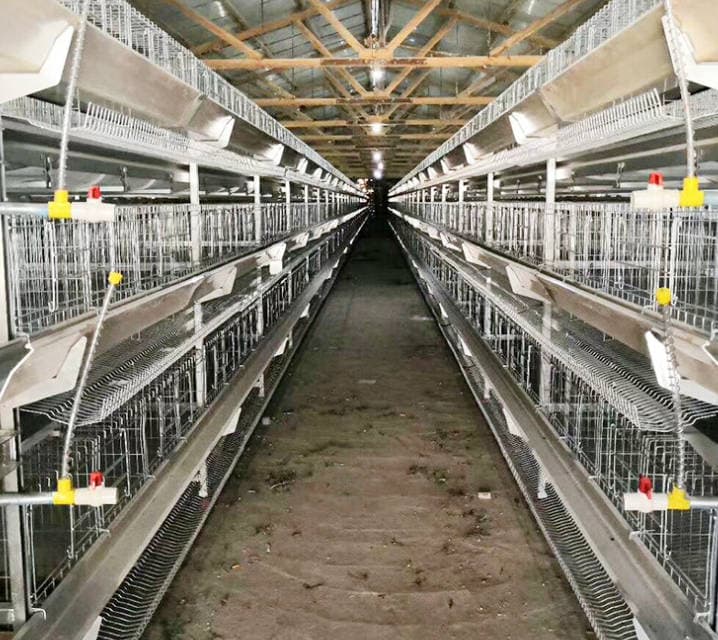 Small stacked egg chicken cage, three-dimensional stepped breeding farm, three story and four story breeding cage, recommended for three-dimensional breeding Small stacked egg chicken cage, three-dimensional stepped breeding farm, three story and four story breeding cage, recommended for three-dimensional breeding