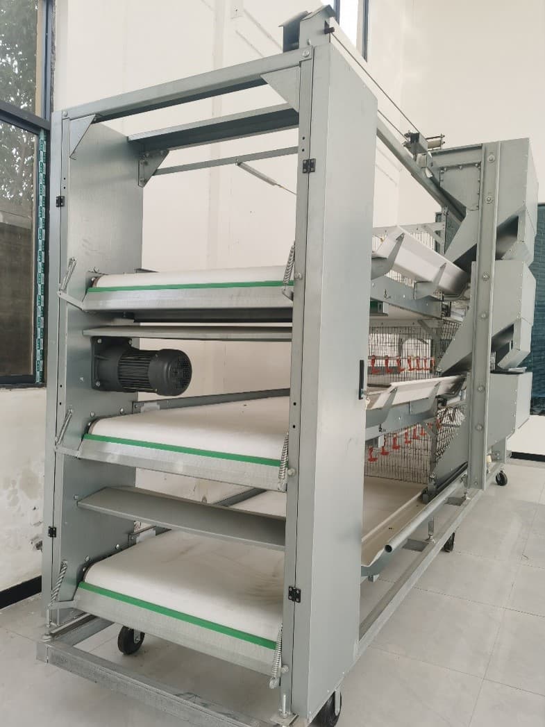 家禽笼带式排粪系统——自动排粪机 家禽笼带式排粪系统——自动排粪机