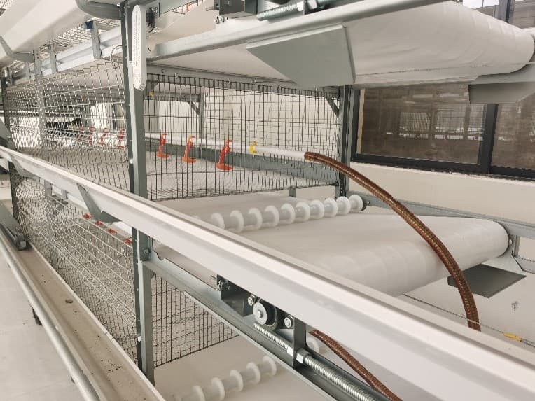 Belt Manure Removal System for Poultry Cages – Automatic Manure Cleaning Machine