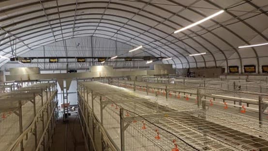 家禽笼高架移动式饲喂机 家禽笼高架移动式饲喂机