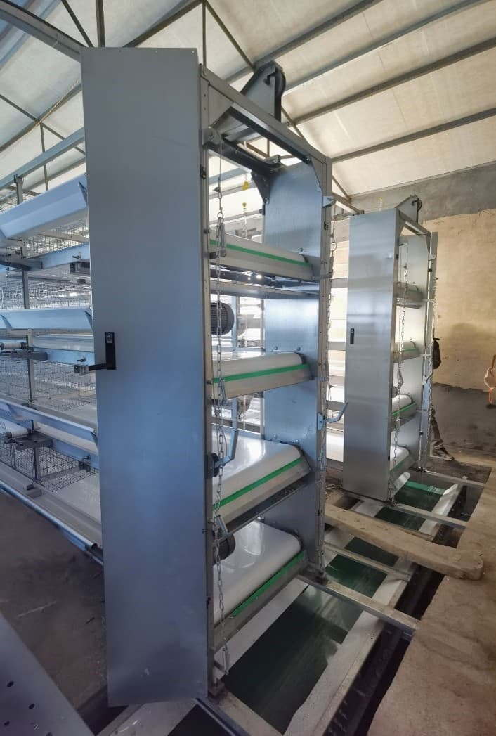 家禽笼带式排粪系统——自动排粪机 家禽笼带式排粪系统——自动排粪机