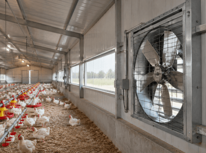 Poultry Ventilation Fan Selection: Airflow, Pressure & Power